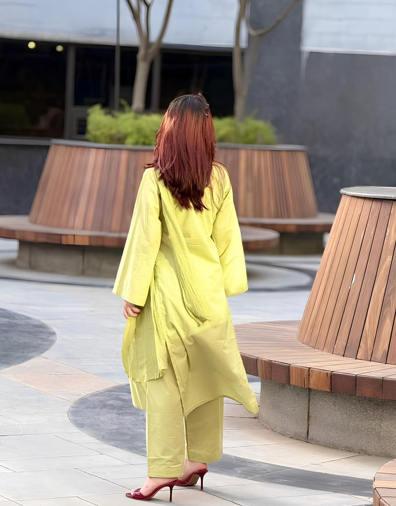 Pista Green Farshi Cotton kurta Set