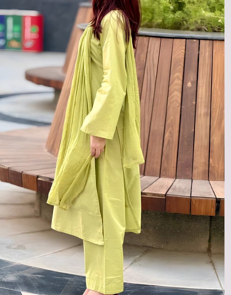 Pista Green Farshi Cotton kurta Set