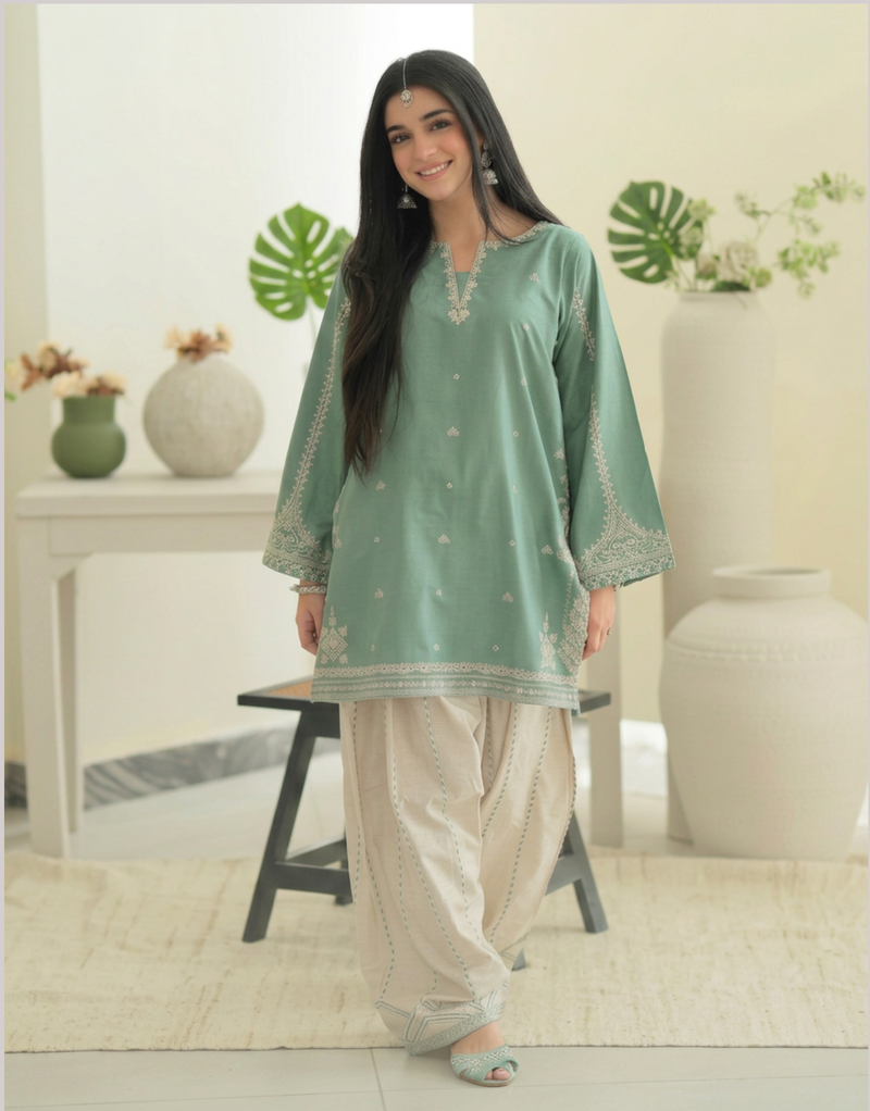 Designer Pakistani Kurta with heavy work pants
