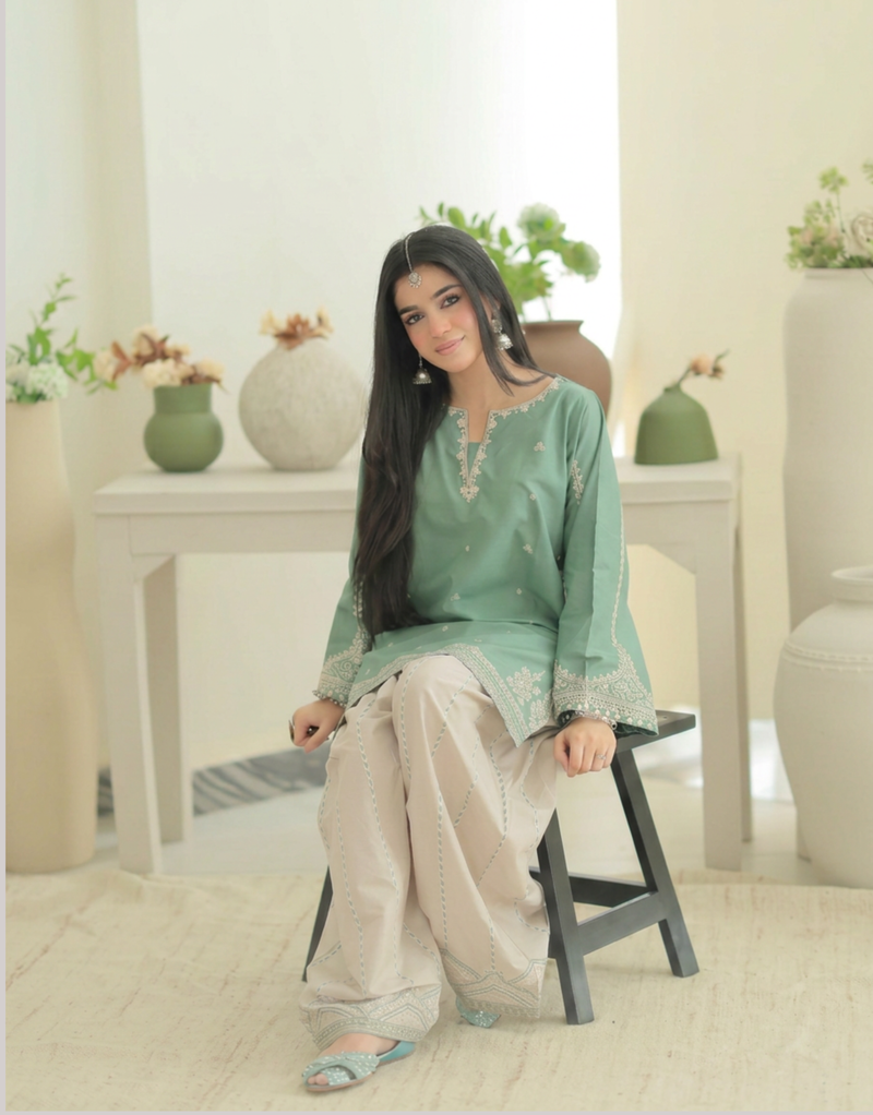 Designer Pakistani Kurta with heavy work pants